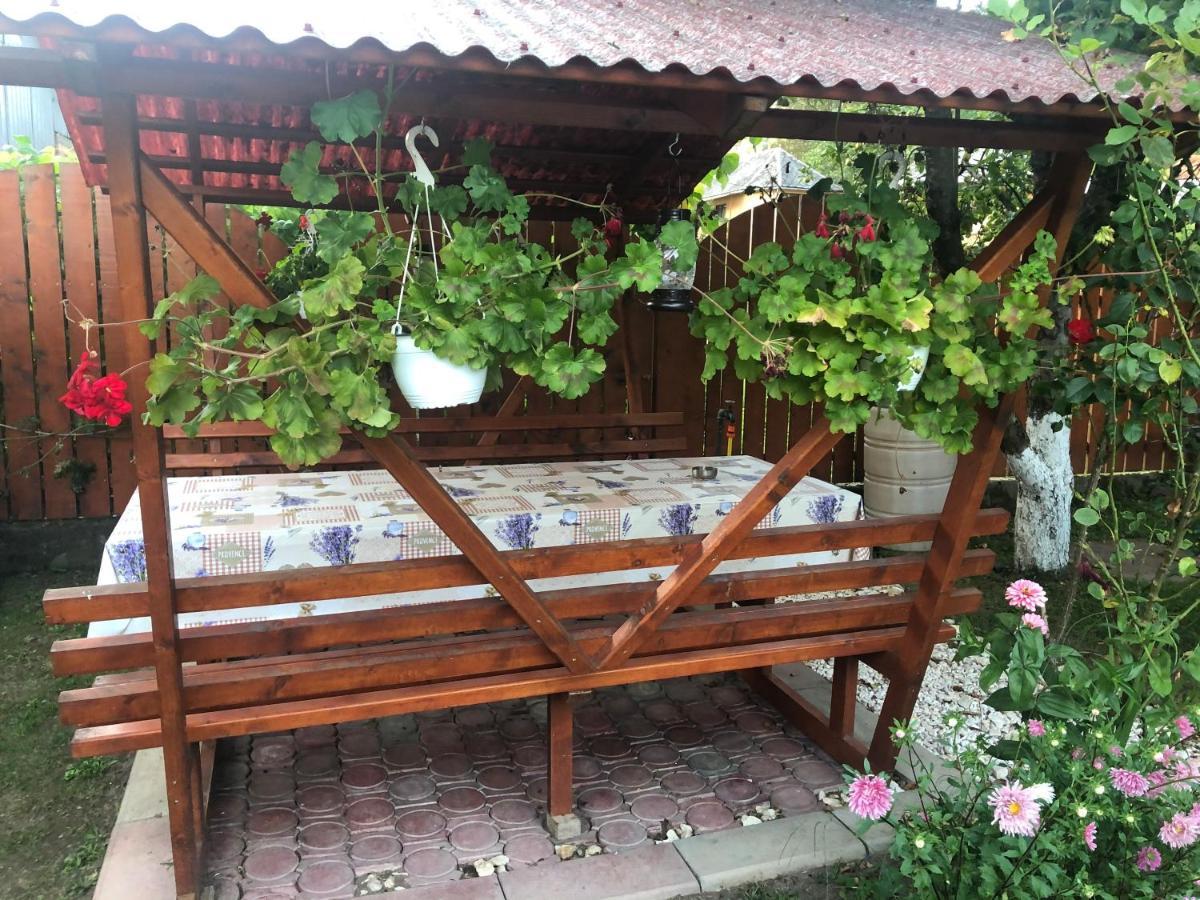 Casa Todea 호텔 Cîmpeni 외부 사진