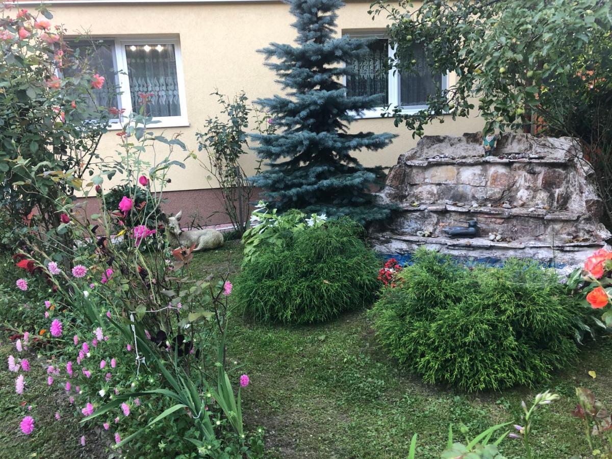 Casa Todea 호텔 Cîmpeni 외부 사진